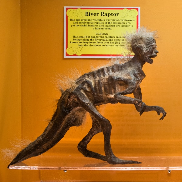 The American Sideshow exhibit