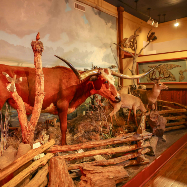 The Buckhorn Museum and Texas Ranger Museum