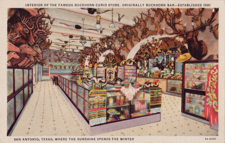 The Curio Shop historical photo